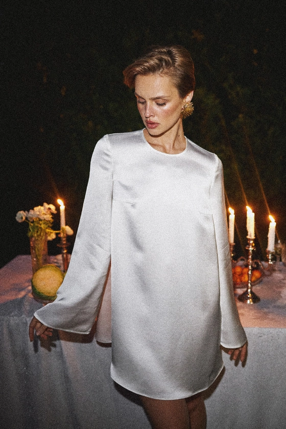 Сукня трапеція з довгими рукавами 