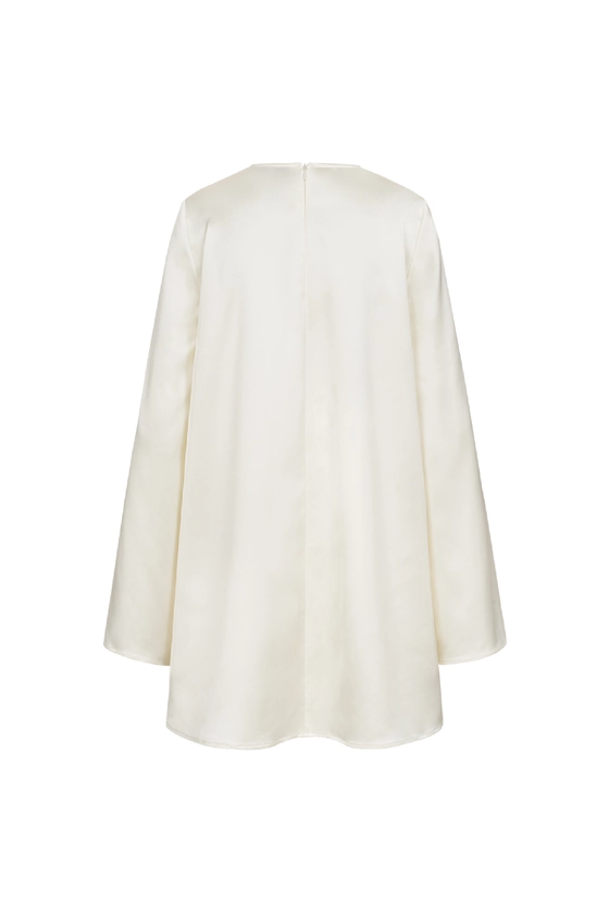 Сукня трапеція з довгими рукавами 