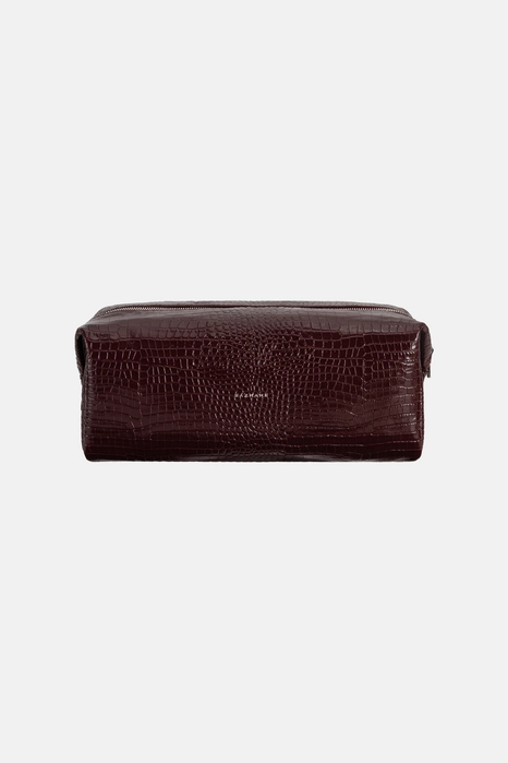 Travel Dyson Case